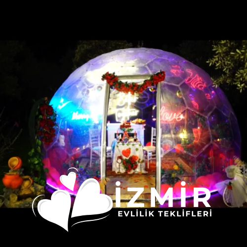 Fanus Evlilik Teklifi